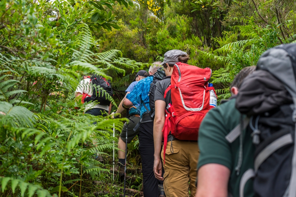 Active,Holiday,On,Beautiful,Madeira,Island:,Group,Of,Hikers,Enjoy